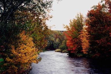 Fall Colors