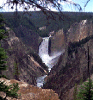 Lower Falls at Canyon - Yellowstone River and Grand Canyon of the Yellowstone - Yellowstone National Park